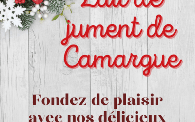 Lait de jument de Camargue pour Noël