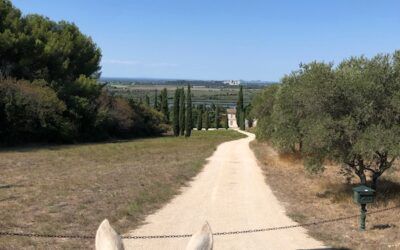 A Arles, on ne dit pas en Arles