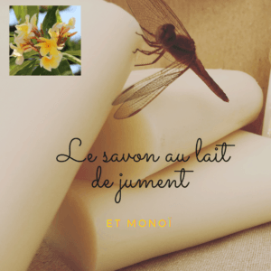 savon lait de jument naturel
