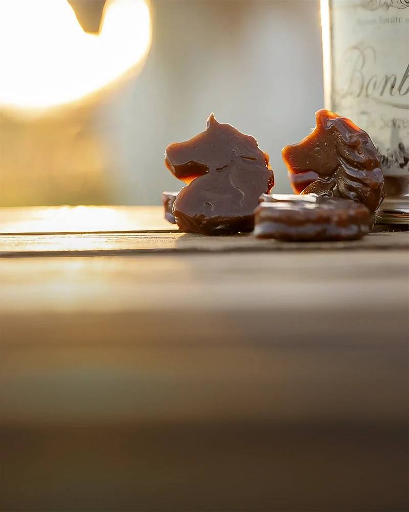 lait-de-jument-de-camargue-accueil-gamme-gourmandise lait
