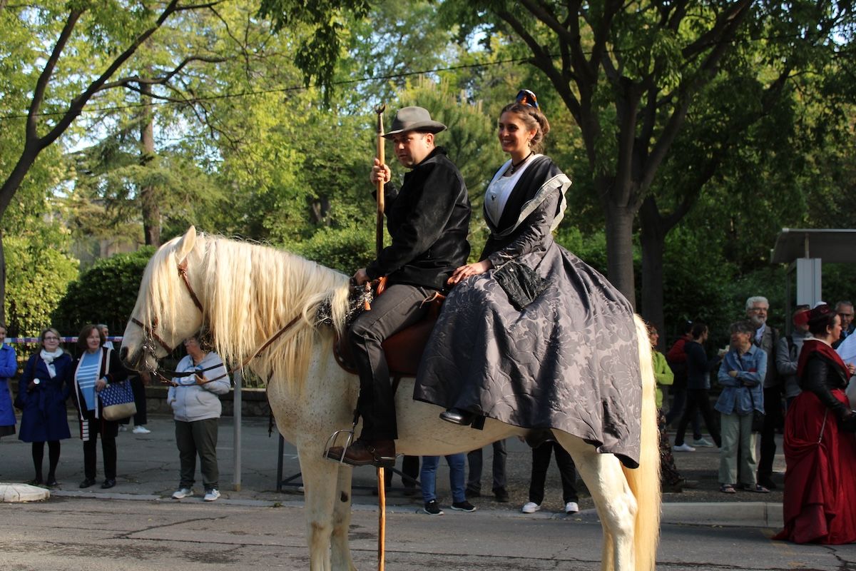 vente cheval camargue