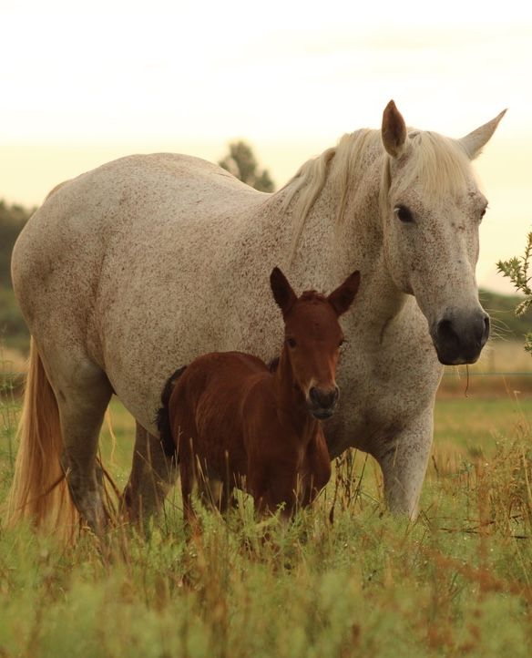 magasin de produits de la ferme