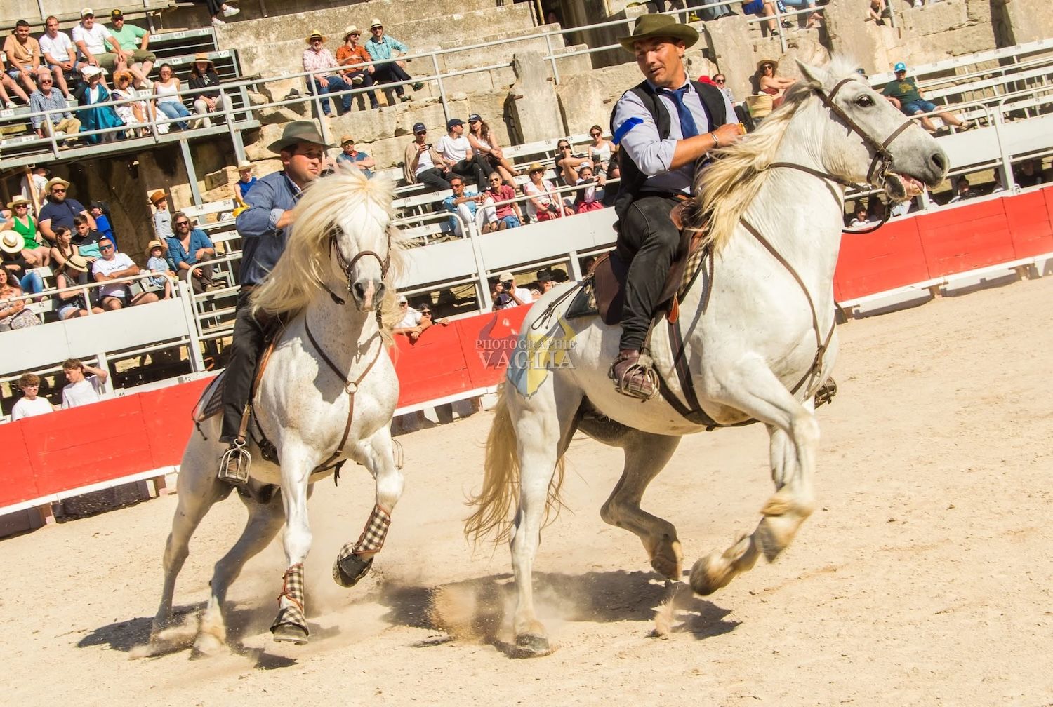 Festival Brin de Culture 2025 à Arles – démonstration équestre et traditions Spectacle équestre 2025