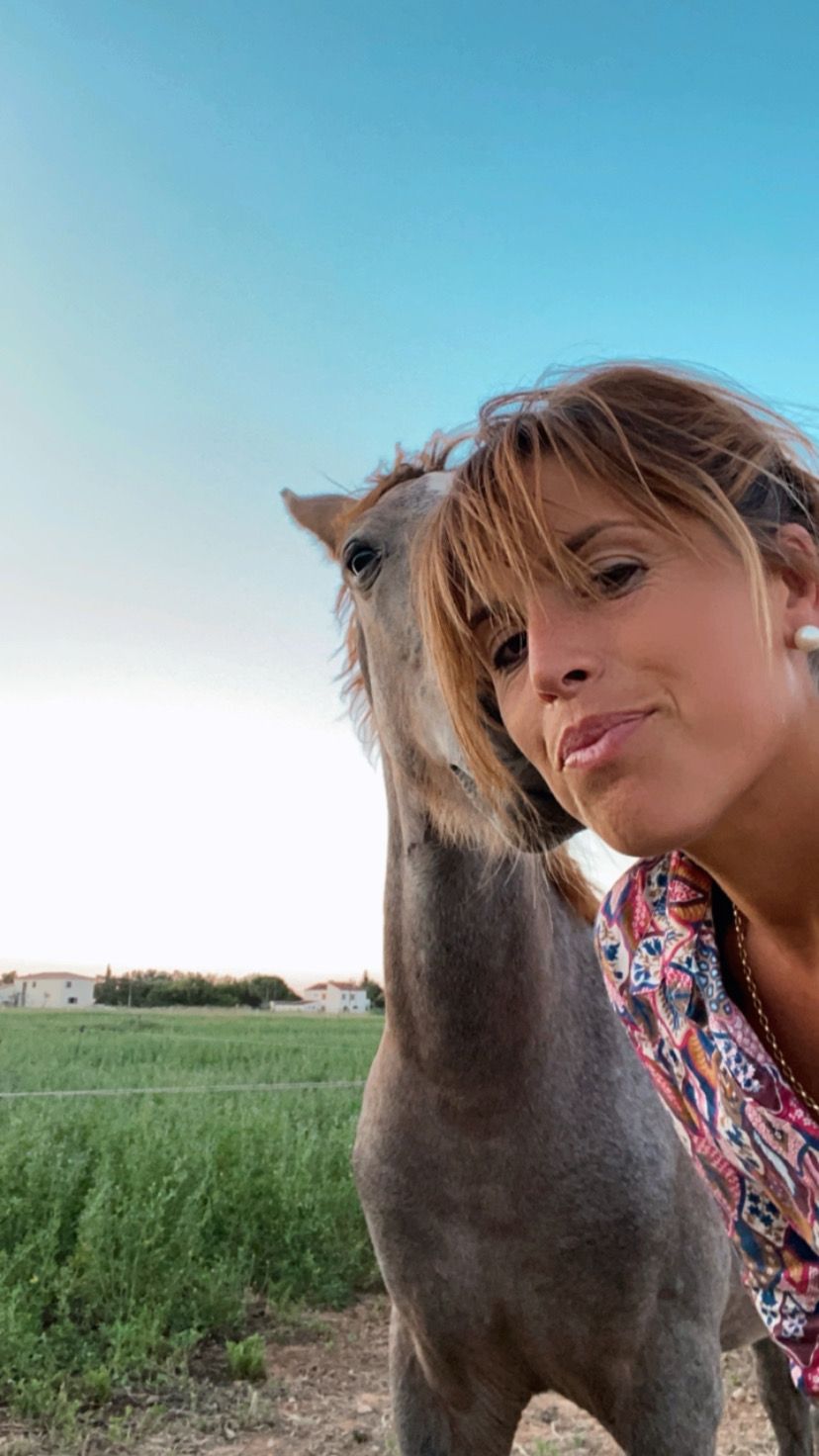 Spectacle équestre 2025 en Camargue chevaux et gardians à la manade Spectacle équestre 2025
