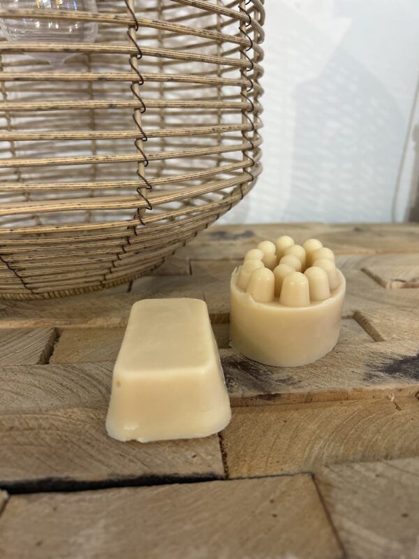 shampoing solide cheveux gras