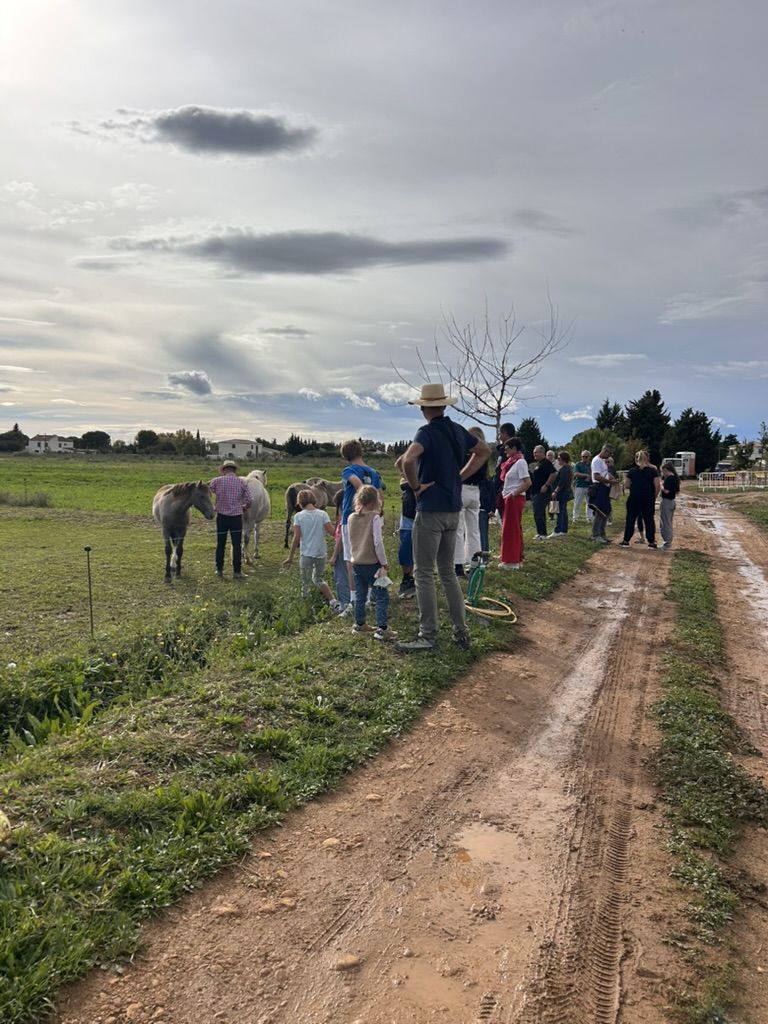 loin des files d'attentes, découvrez la camargue naturelle