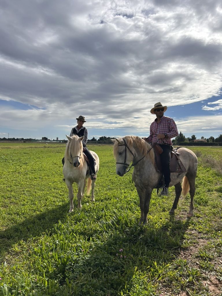 chevaux Camargue, nature et grands espaces, idéale pour une sortie familiale