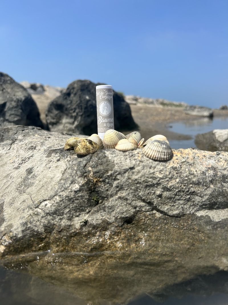 cosmétique et paysage authentique camargue lait de jument a sainte marie de la mer