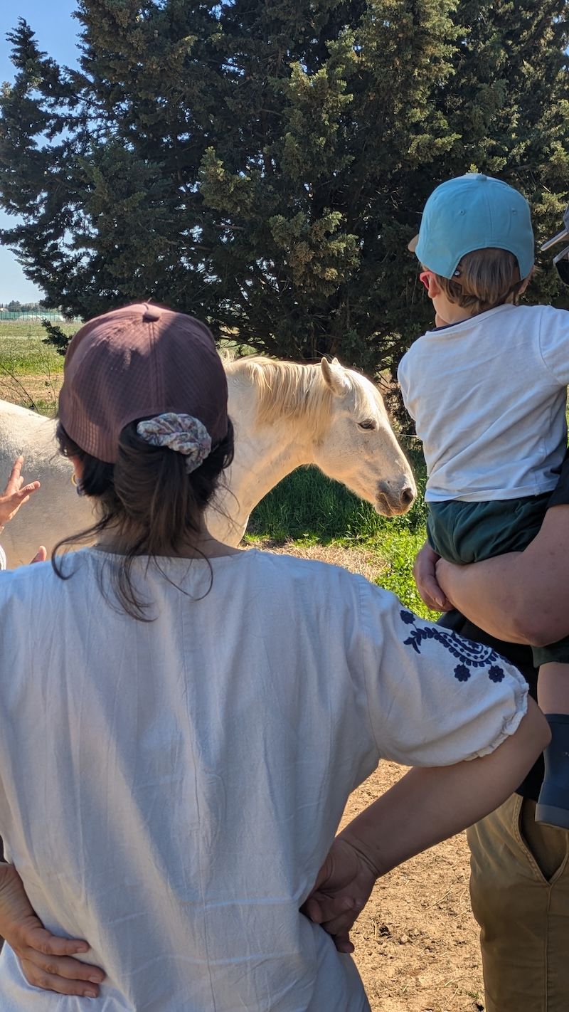 que visiter en camargue que visiter en camargue